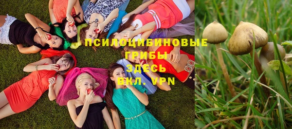 прущие грибы Беломорск