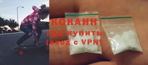 прущие грибы Беломорск