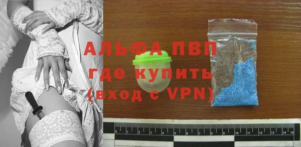 прущие грибы Беломорск